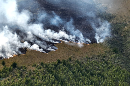 Un incendio forestal de gran magnitud se registró en el cerro Sincholagua, sector Pintag,