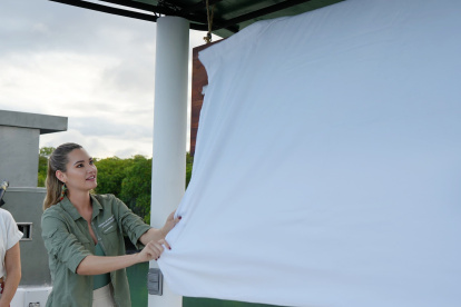 El Gobierno da marcha atrás en el nombramiento de Inés Manzano como ministra de Ambiente