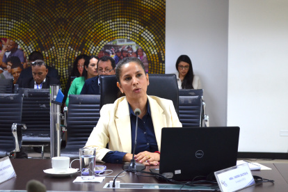 Yadira Saltos es una de las consejeras del Consejo de Participación denunciadas ante el TCE.