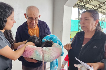 Mega jornada de esterilización se realizará en Quitumbe, sur de Quito