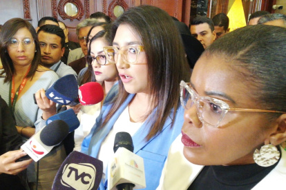 Garzón cuestionó que la Procuraduría no determinó el tiempo a considerar por el embarazo de la fiscal del Estado y que eso pone en riesgo la capacidad fiscalizadora de la Asamblea Nacional.