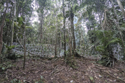 Operativo. Una de las zonas cercadas en la zona del Darién (Panamá).