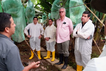 Representante del sector bananero acompañan las labores de control y capacitación para enfrentar esta enfermedad.