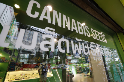 Un local de Royal Queen Seeds que ofrece cannabis en Bangkok, donde tras dos años de la despenalización del consumo de marihuana el gobierno pretende prohibir el uso lúdico.