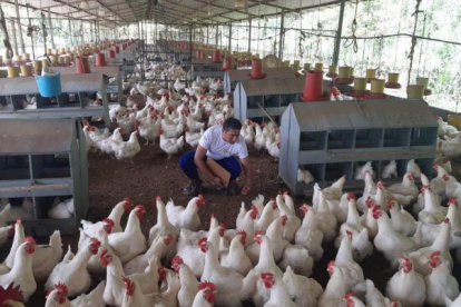 La industria de balanceados advierte con un incremento de precios de productos.