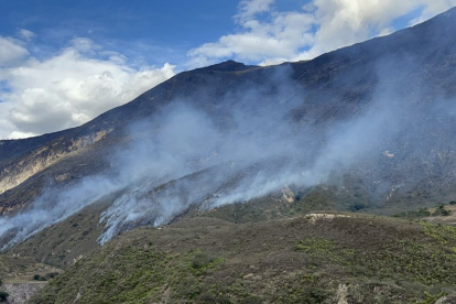 De acuerdo a la Secretaría de Gestión de Riesgos, se han afectado 400 hectáreas de vegetación en tres días de incendio.