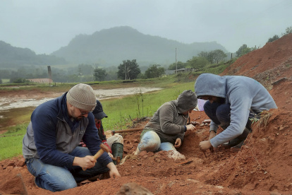 El dinosaurio es uno de los más antiguos descubiertos en el mundo y que quedó expuesto tras las graves inundaciones de mayo en la región.
