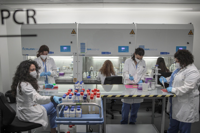 Un grupo de mujeres realiza parte de su trabajo científico.