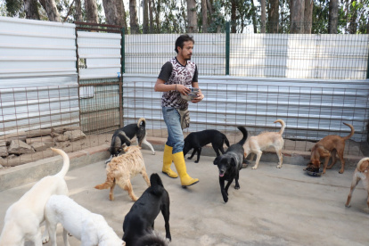 PAE tiene un refugio de rescate animal y también un espacio para las adopciones responsables, en Alangasí, suroriente de Quito.