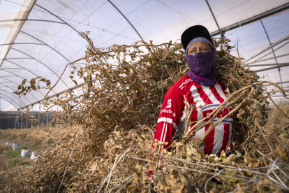 El calor y el cambio climático se ha convertido en una amenaza para el trabajo en el mundo.