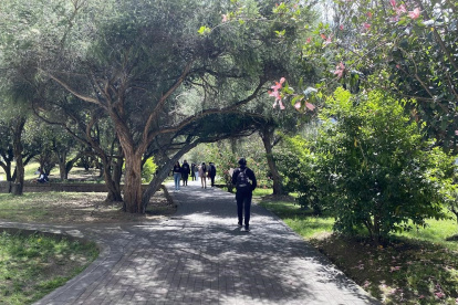 Un juez negó la acción de protección que interpusieron el rector y vicerrectores de la Universidad Central del Ecuador.