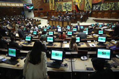 La Asamblea Nacional notificará a la ONU y a la OEA para que asistan a Venezuela para garantizar unas elecciones libres.