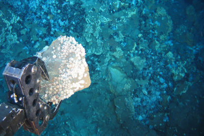 La minería en aguas profundas o submarina es una industria extractiva comercial emergente. El fin es arrasar los fondos marinos para obtener minerales y metales.