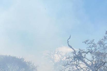 30 bomberos llegaron al lugar para sofocar el incendio forestal.