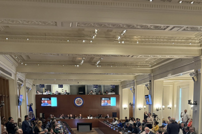 La sesión extraordinaria de la OEA demoró en iniciar por la falta de consensos.