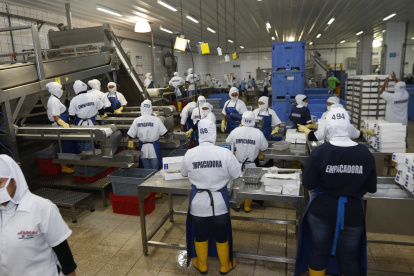 Cepal. El organismo pide trabajar en la atracción y protección de estas inversiones.