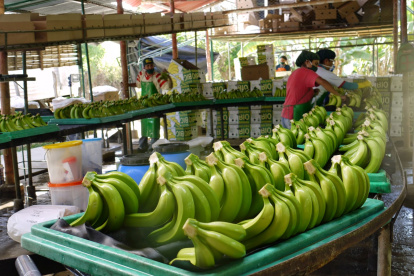 Hasta junio, el país asiático fue el quinto mercado de destino más importante.