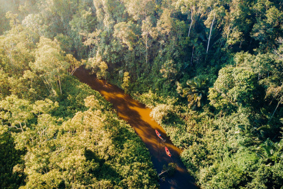 Uno de los ríos que se adentran en la amazonía ecuatoriana.