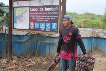 Labor. Un cangrejero sostiene dos atados de cangrejos rojos.