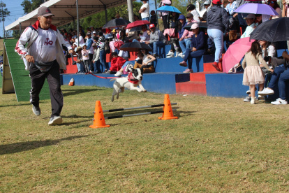 El adiestramiento facilitó la convivencia entre canes y personas lo que es indispensable para vivir en un entorno armónico.