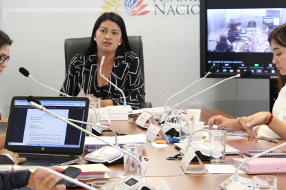 La Comisión de Gobiernos Autónomos recomendó llevar a juicio político a cuatro ministros por el caso Olón.