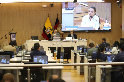 En el Concejo Metropolitano hubo discusión entre los ediles por unas preguntas que planteó Wilson Merino.