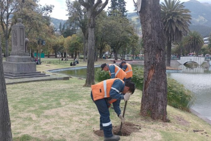 En total se intervendrá en 11.956 metros cuadrados del parque La Alameda.