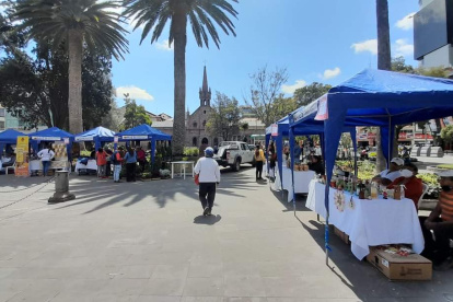 Escenario. En la ciudad existe un árbol por cada 33 personas, cuando lo ideal es un árbol por cada tres personas, reconocen las autoridades locales.