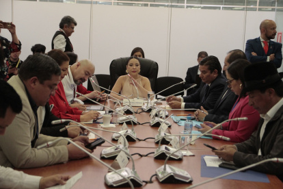 El legislador socialcristiano Lenin Rogel dijo que dio su voto para viabilizar la etapa de cargo y descargo porque el tema de seguridad preocupa al país.