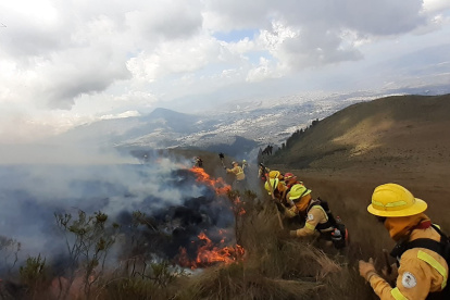 Los bomberos se desplegaron en las laderas del Pichincha, para evitar el avance del incendio forestal.