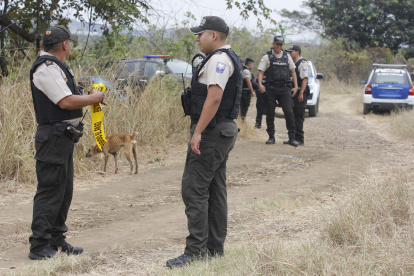 Escenario. Los cuerpos fueron descubiertos por trabajadores del área.