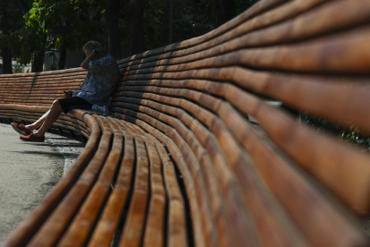 Un hombre busca sombra en un parque de Madrid ante las altas temperaturas.