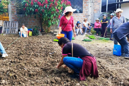 Efecto. La capacitación también busca minimizar las pérdidas de cultivos.
