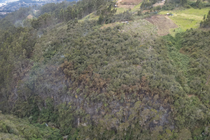 Al menos cuatro hectáreas de bosque junto al sector El Salado - Sinincay fueron afectadas por las llamas.