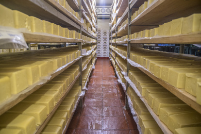 Producción. Una foto referencial de la elaboración de quesos maduros en Ecuador.