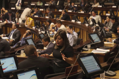 La Comisión de Seguridad ha aprobado la quinta ley en esta materia, según Inés Alarcón, presidenta de la mesa legislativa.