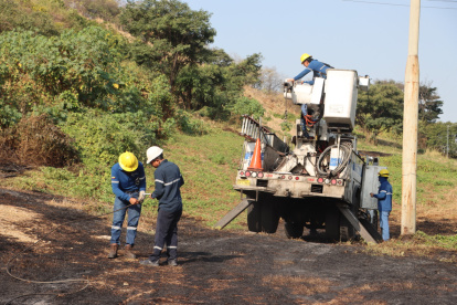 Este reptil causó un efecto dominó en la zona.