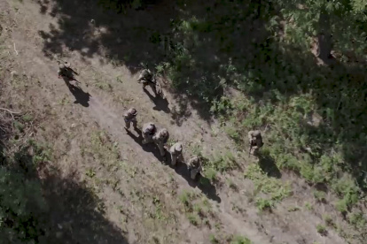 Militares rusos escoltando a prisioneros de guerra ucranianos en un lugar no revelado en la región de Kursk, Rusia.