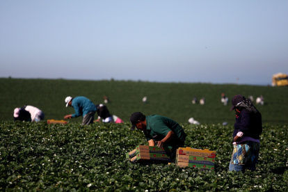 Agro. Personas trabajando en una granja sostenible.