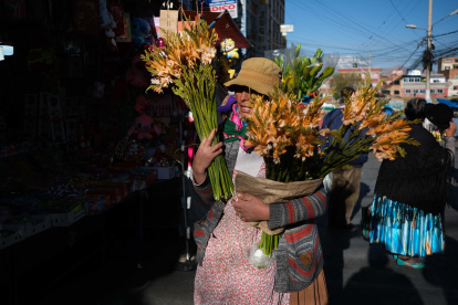 Una mujer aimara vendiendo plantas en la calle de las Brujas, en La Paz.