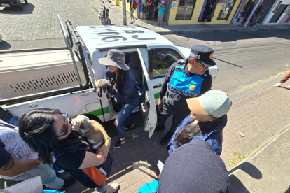 Seis animales de compañía de aproximadamente dos meses de edad, fueron rescatados de ser comercializados en el sur de Quito