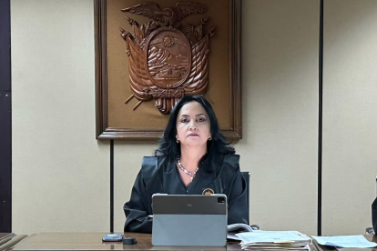 La defensa de la jueza nacional Emma Tapia presentó la acción constitucional.
