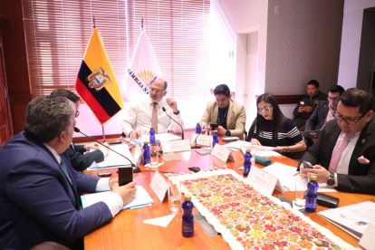 Una legisladora del correísmo dijo el fin de semana que, con la presidencia de Viviana Veloz, se retomaría el juicio político.