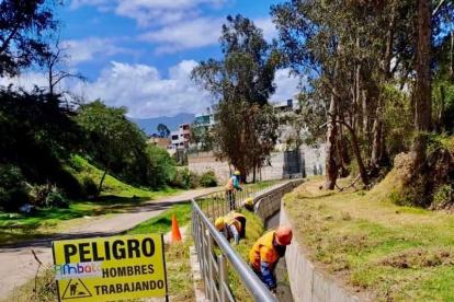 Las cuadrillas municipales limpian y protegen las especies de la flora en cada quebrada de Ambato.