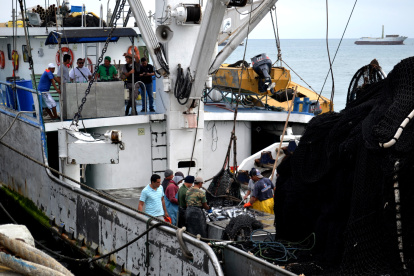 Exportación. Más de la mitad del volumen de atún exportable tiene como destino los países europeos.