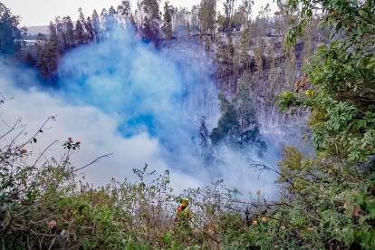 Hecho. Se necesitó de 62 Bomberos para apagar el incendio en Yaruquí