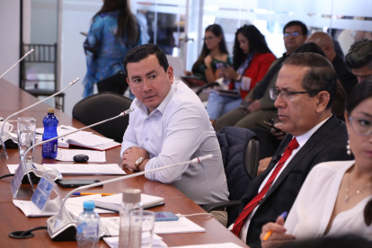 Ferdinan Álvarez llegó en 2023 a la Asamblea Nacional con el correísmo.