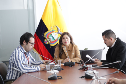 La asambleísta oficialista Inés Alarcón presentó el recurso contra la mesa de Fiscalización.