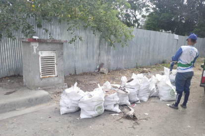 Trabajadores municipales realizaron este operativo en tres sectores.