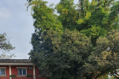 Menores. Los niños de la Aldea se divierten en una actividad recreativa.